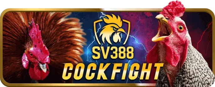 Cá cược thể thao với các trận đấu bóng đá tại K89Bet Casino